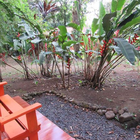 Finca Verde Lodge Bijagua Kültér fotó