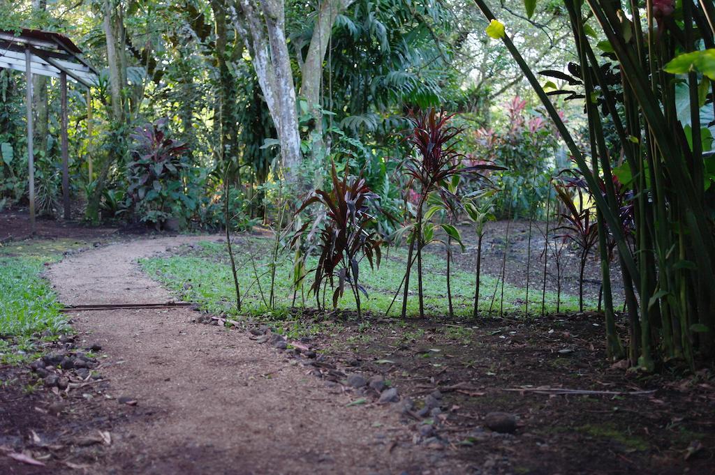 Finca Verde Lodge Bijagua Kültér fotó