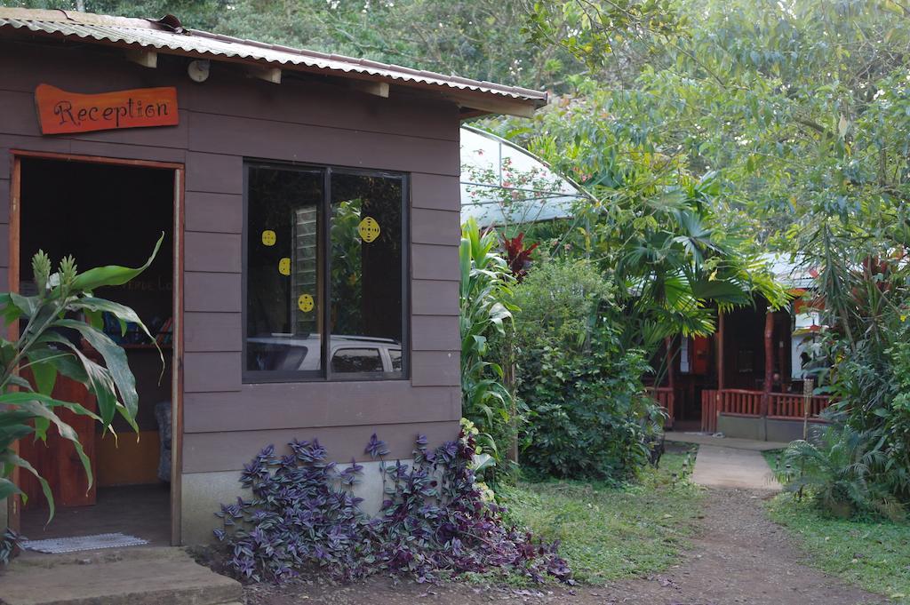 Finca Verde Lodge Bijagua Kültér fotó