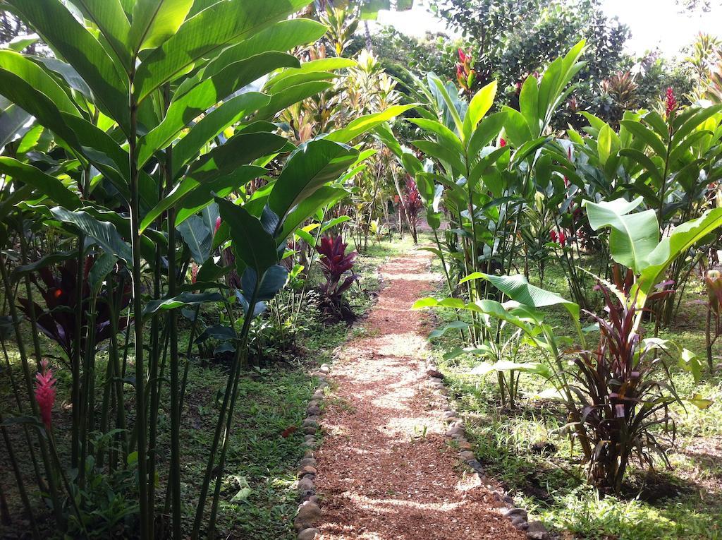 Finca Verde Lodge Bijagua Kültér fotó