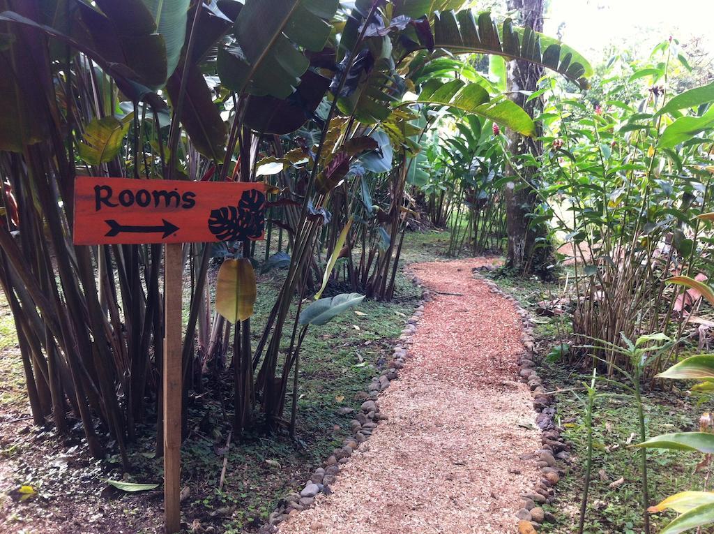 Finca Verde Lodge Bijagua Kültér fotó