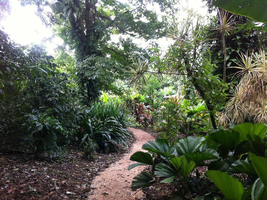 Finca Verde Lodge Bijagua Kültér fotó