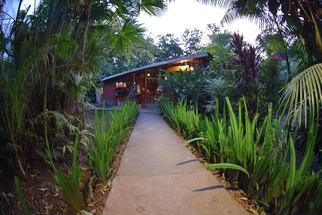 Finca Verde Lodge Bijagua Kültér fotó