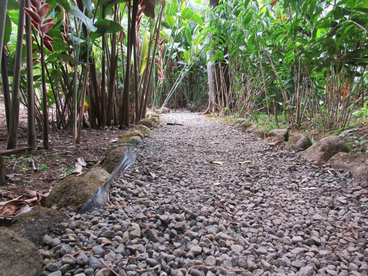Finca Verde Lodge Bijagua Kültér fotó