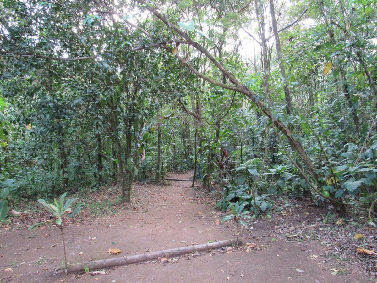 Finca Verde Lodge Bijagua Kültér fotó