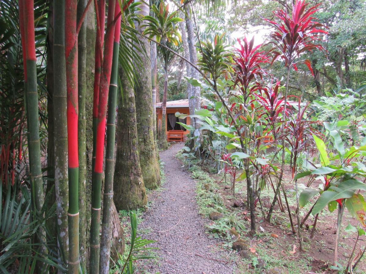 Finca Verde Lodge Bijagua Kültér fotó