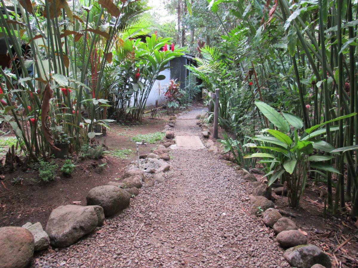 Finca Verde Lodge Bijagua Kültér fotó