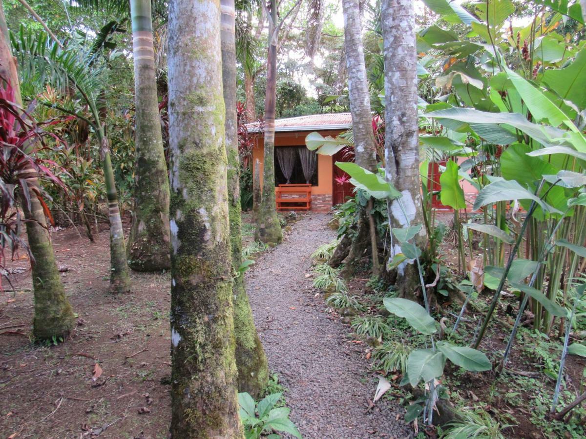 Finca Verde Lodge Bijagua Kültér fotó