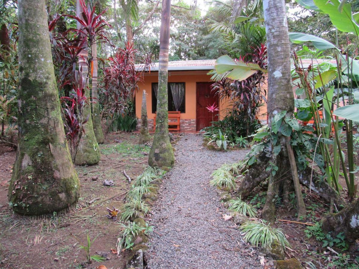Finca Verde Lodge Bijagua Kültér fotó